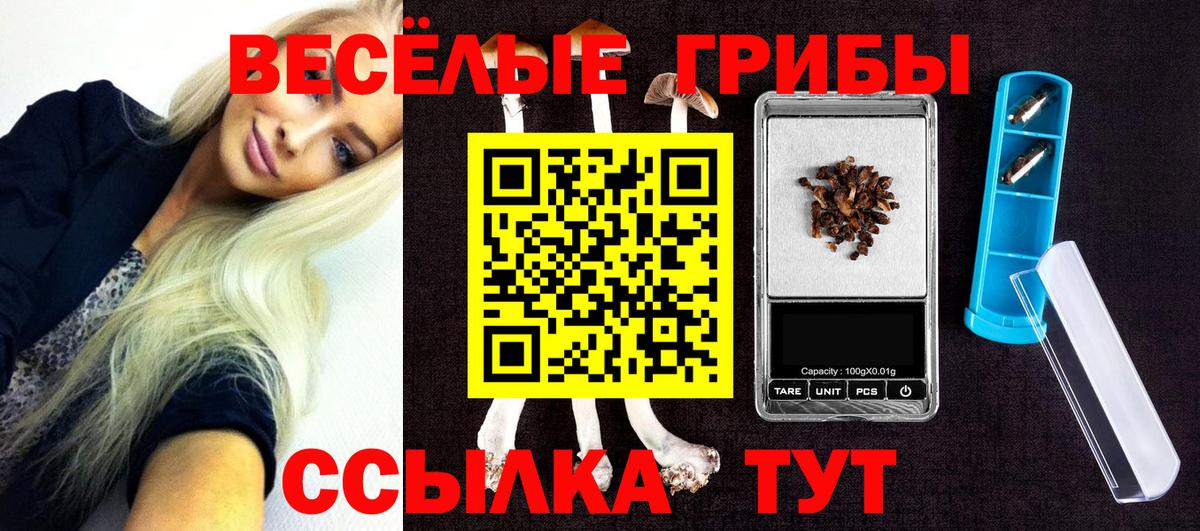 Псилоцибиновые грибы Psilocybine cubensis Бахчисарай